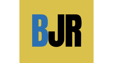 BJR — Brissie Junk Removal